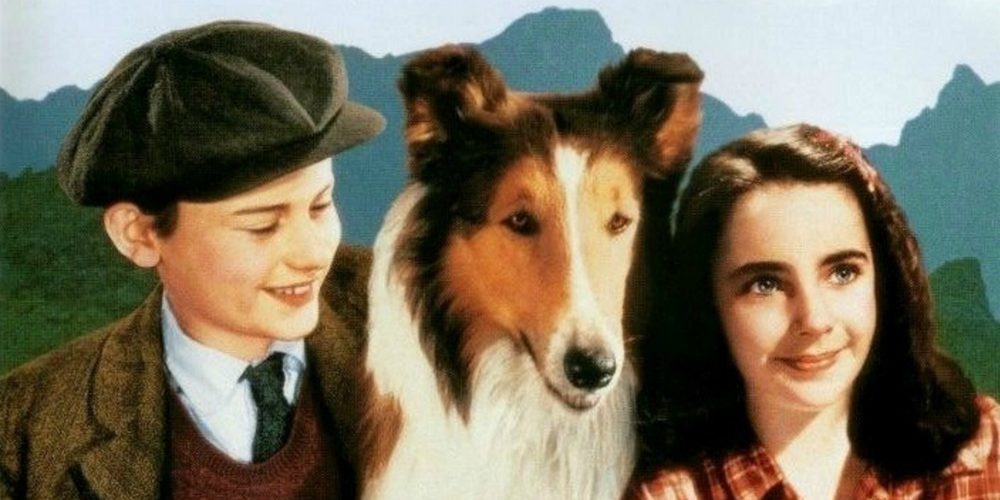 Lassie az igaz barát (Lassie, 1994)