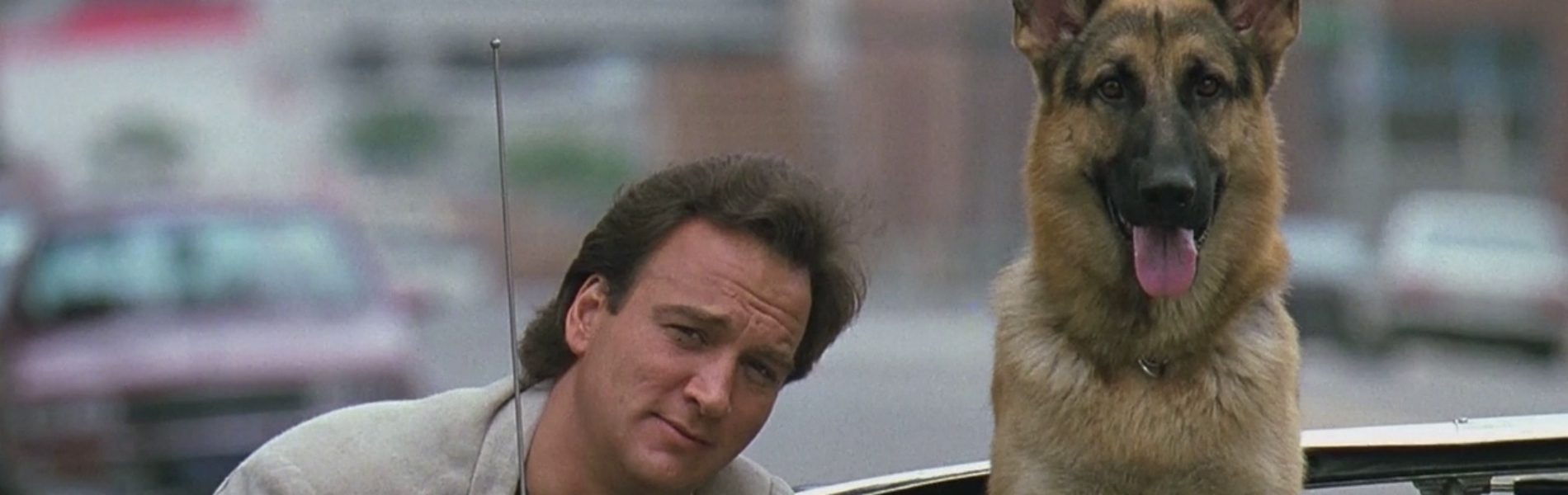 7+1 James Belushi alkotás, amit mindenképpen látnotok kell