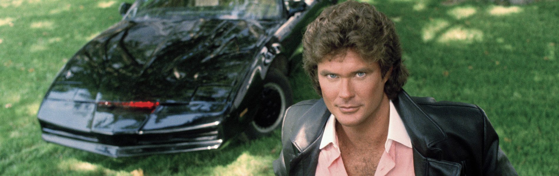 10 megdöbbentő tény David Hasselhoff életéről