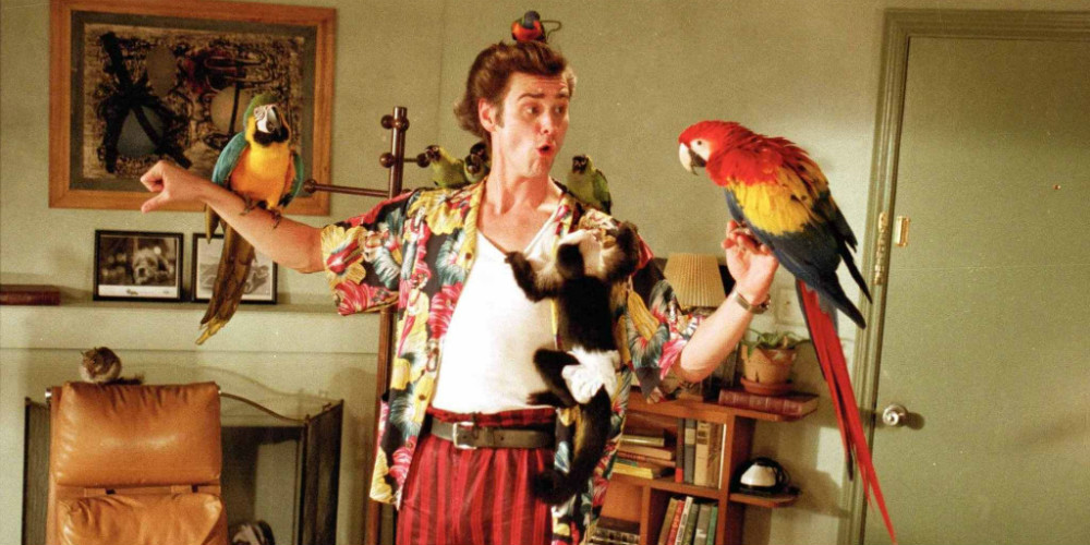 10 meghökkentő tény az Ace Ventura című vígjátékról