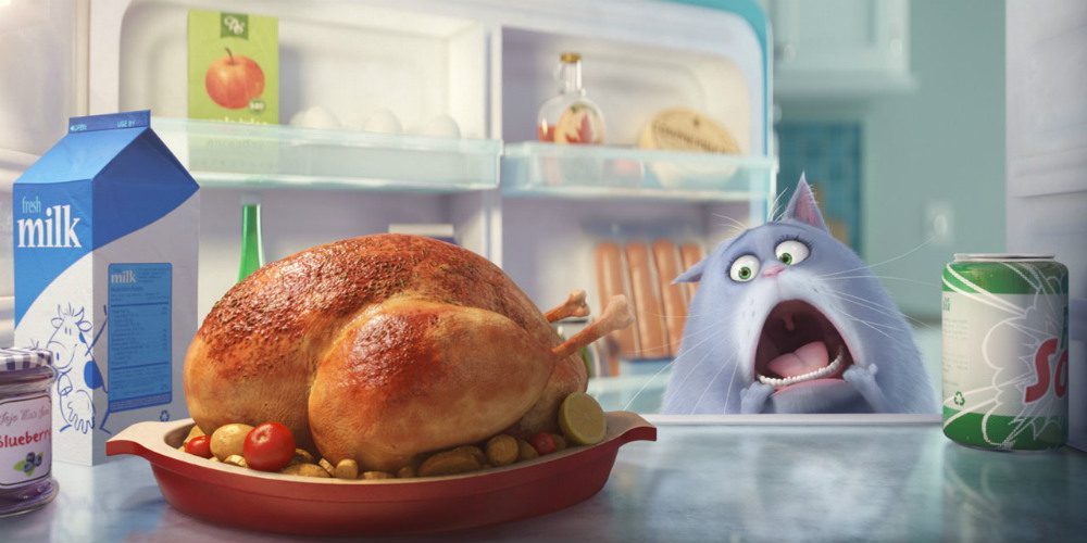 A kis kedvencek titkos élete (The Secret Life of Pets, 2016) - Kritika