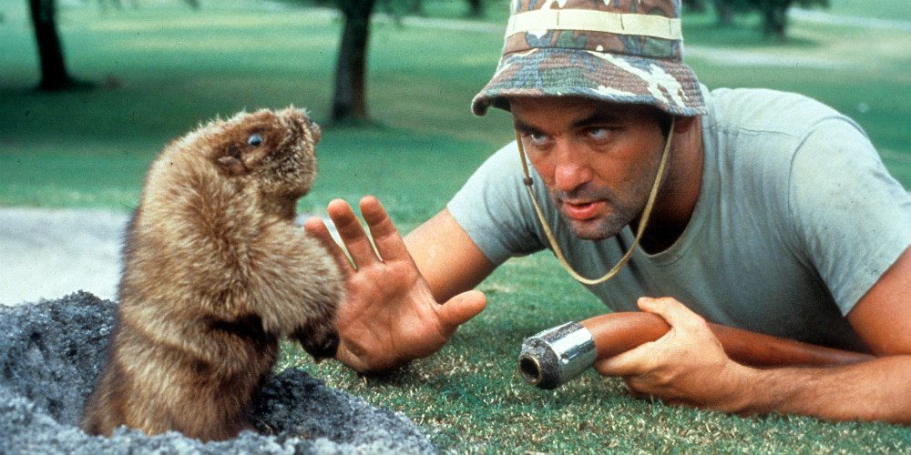 Golfőrültek (Caddyshack, 1980)