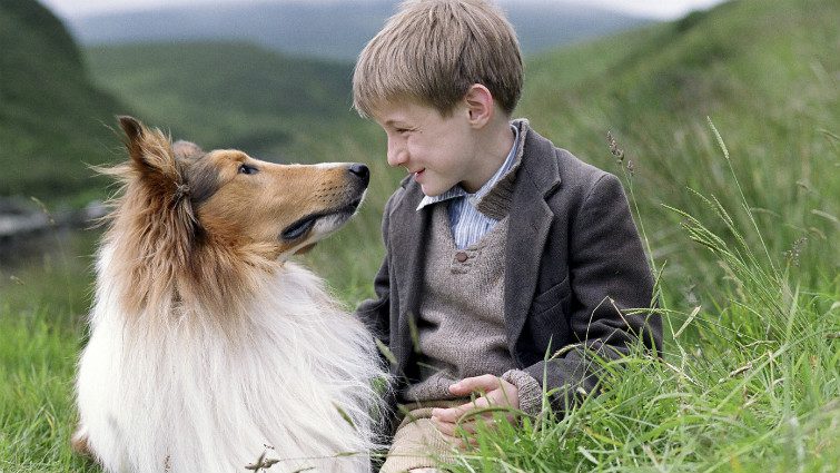 Lassie /Lassie, 2005/