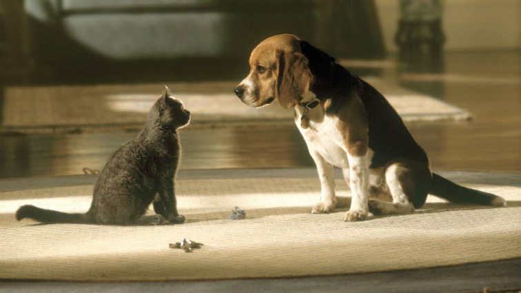 Kutyák és macskák /Cats and Dogs, 2001/