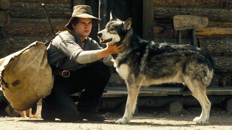 Fehér Agyar (White Fang, 1991)