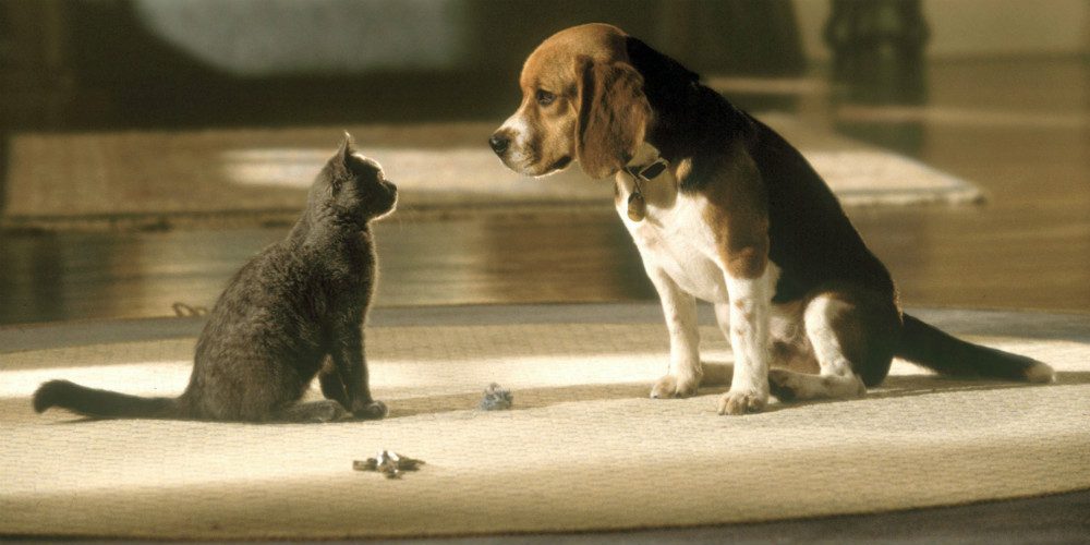 Kutyák és macskák /Cats and Dogs, 2001/