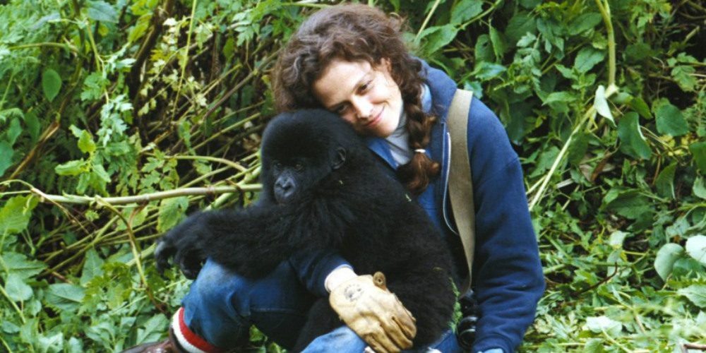 Sigourney Weaver - Gorillák a ködben