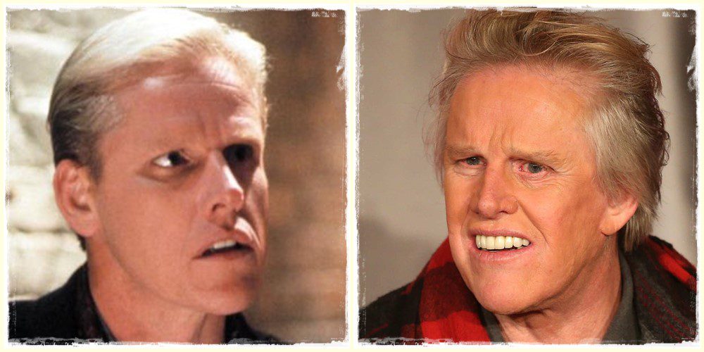 Gary Busey