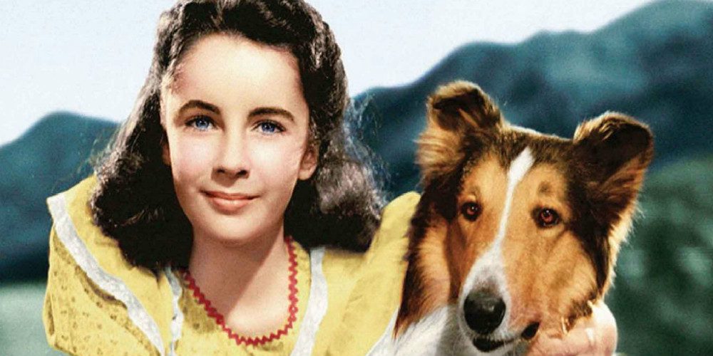 Lassie hazatér (Lassie Come Home, 1943)