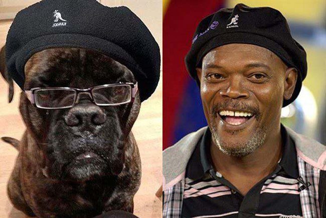 Samuel L. Jackson