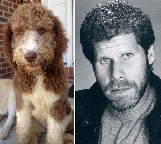 Ron Perlman