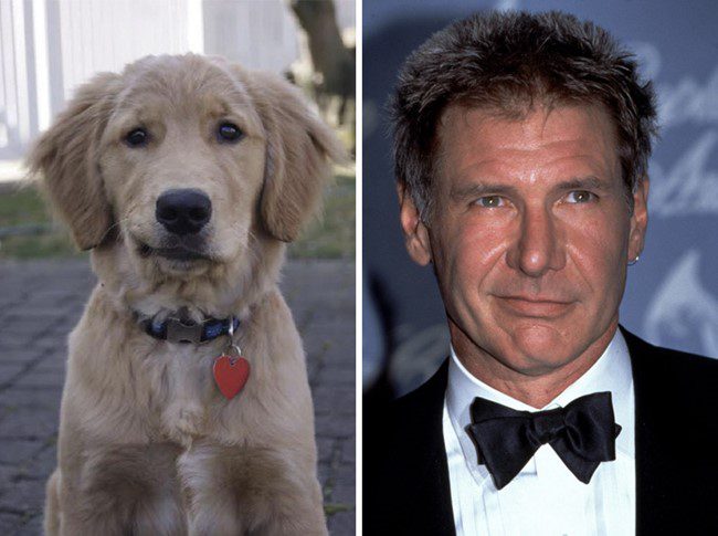 Harrison Ford