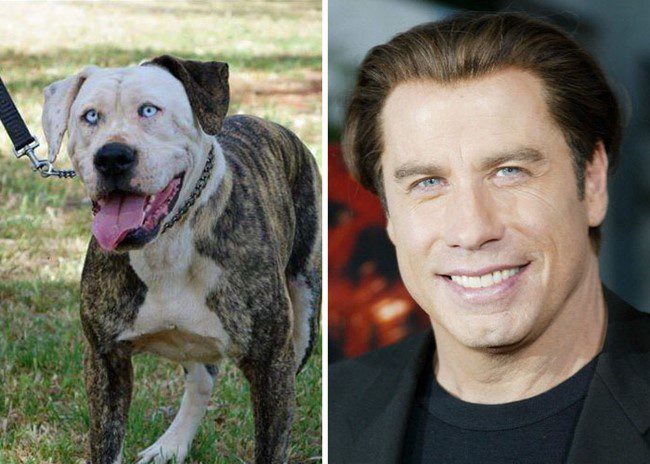 John Travolta