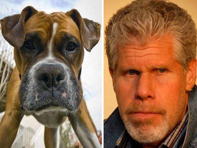 Ron Perlman