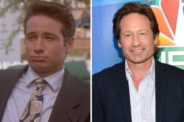 David Duchovny (Brad)