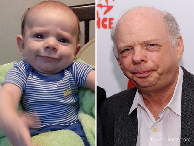 Tiszta olyan ez a csöppség, mint Wallace Shawn.