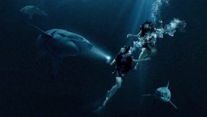 47 méter mélyen (47 Meters Down, 2017) - Előzetes