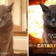 15 egyszerű kép, amikből hihetetlen filmes poszterek készültek