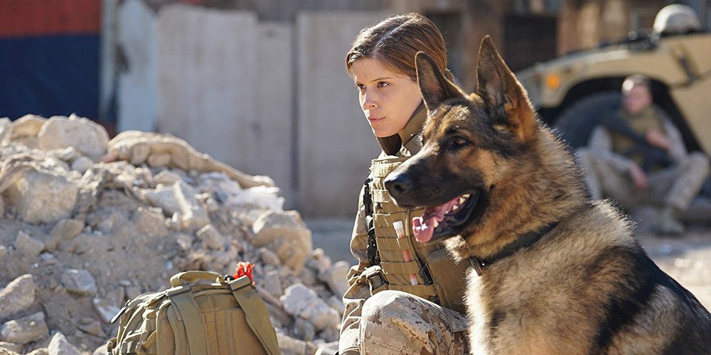 Megan Leavey