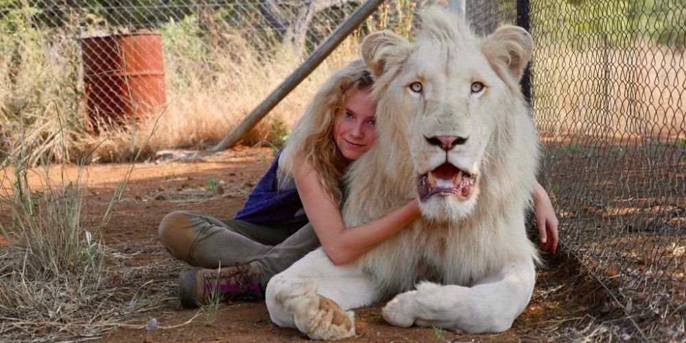 Mia és a fehér oroszlán - Filmkritika (Mia and the White Lion) 2019