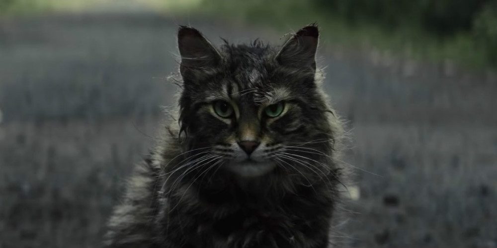 Kedvencek temetője - Filmkritika (Pet Sematary) 2019