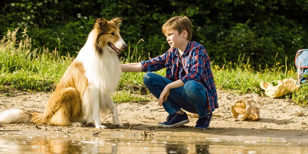 Lassie hazatér (2020) – Kritika