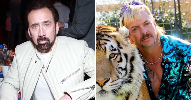 Nicolas Cage meleg lesz új filmjében, ő fogja alakítani Joe Exoticot, a meleg tigriskirályt