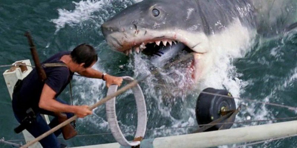 A legjobb cápás filmek
