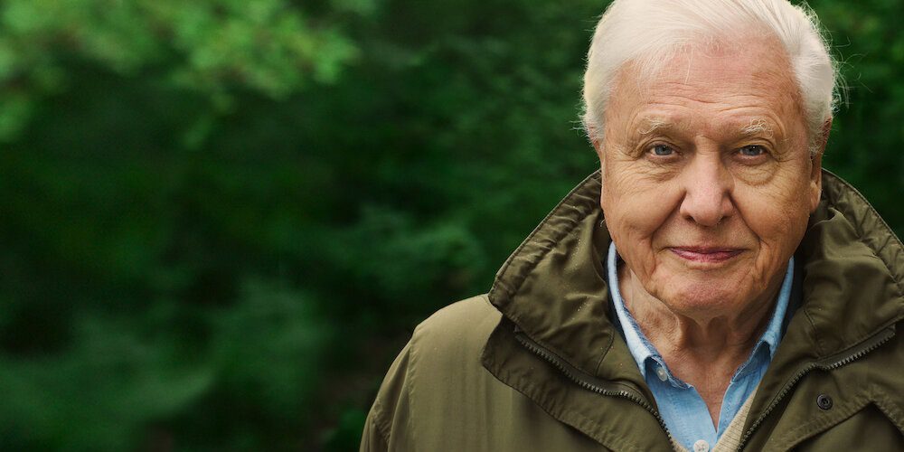 Klímaváltozásból klímakatasztrófa | David Attenborough: Egy élet a bolygónkon