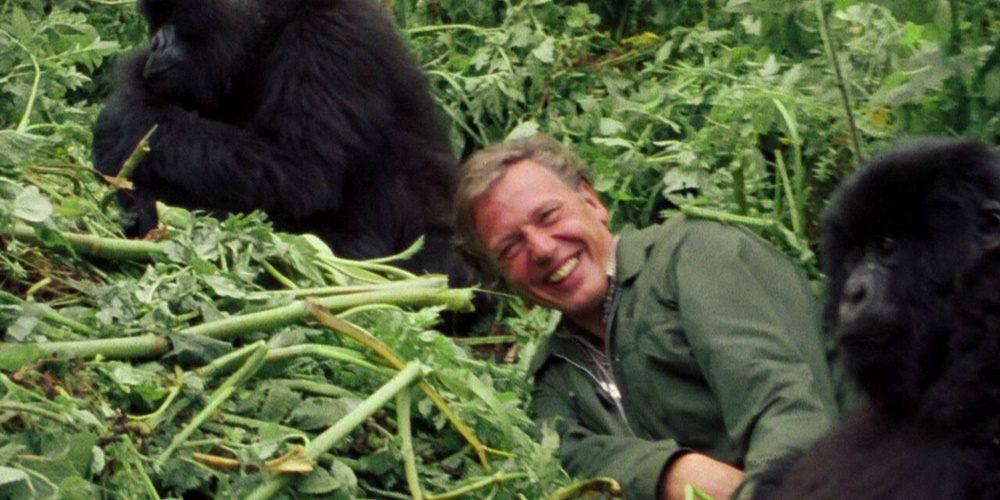 Klímaváltozásból klímakatasztrófa | David Attenborough: Egy élet a bolygónkon