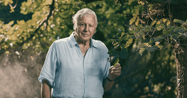 Klímaváltozásból klímakatasztrófa | David Attenborough: Egy élet a bolygónkon