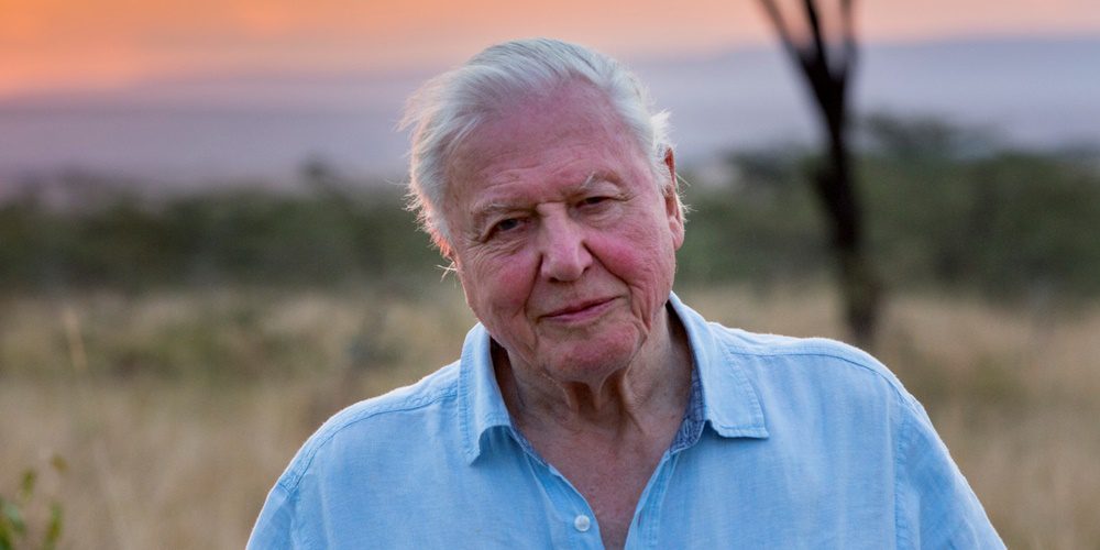 Klímaváltozásból klímakatasztrófa | David Attenborough: Egy élet a bolygónkon