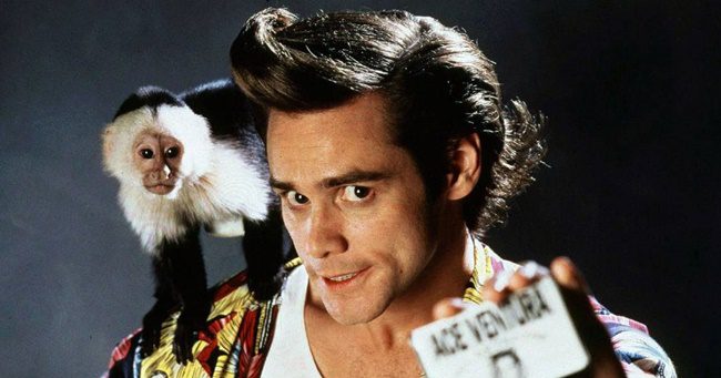 Jim Carrey nélkül jöhet a következő Ace Ventura-film