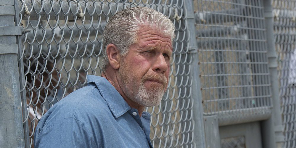 Ron Perlman – 10 meglepő érdekesség a szülinapos színészről