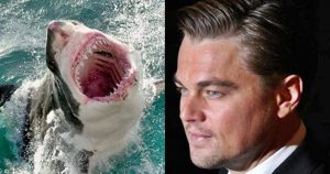 Leonardo DiCaprio-t majdnem megölte egy nagy fehér cápa