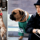 Sylvester Stallone kezdetben hajléktalan volt - kutyáját is eladta, nem fogod elhinni mit tett ezután