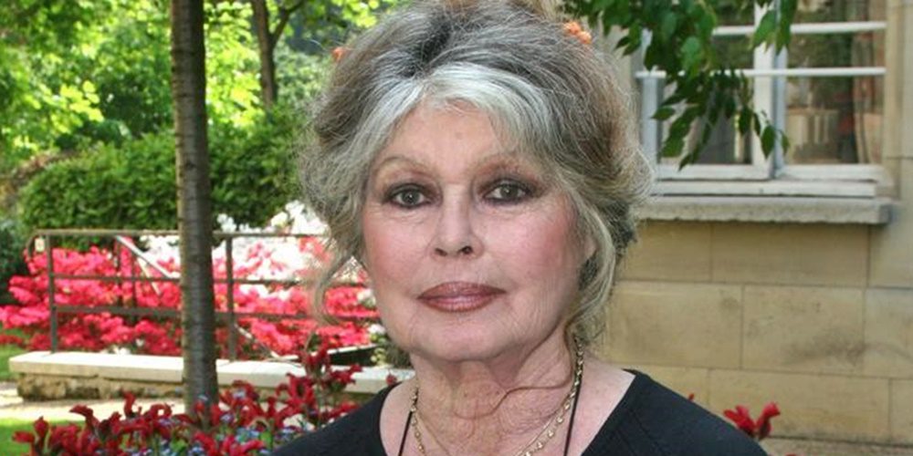 Brigitte Bardot durván beleszállt a magyar kormányba a vadászati kiállítás miatt