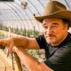 James Belushi visszavonult a színészettől - Marihuánát termeszt az oregoni farmján
