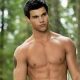Taylor Lautner