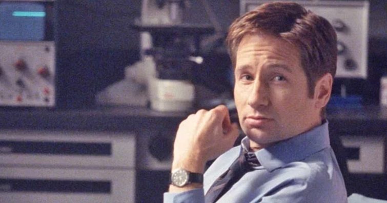 David Duchovny elárulta, hogy szexfilmekben kezdte a pályát