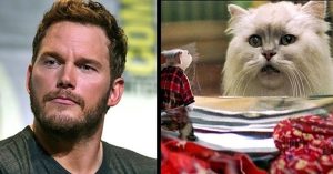 Tudta? Chris Pratt igazi állatimádó és büszke tulajdonosa egy sztármacskának
