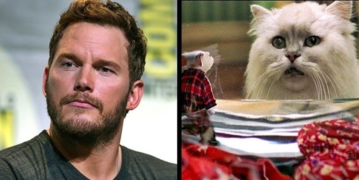 Chris Pratt igazi állatimádó és büszke tulajdonosa egy sztármacskának