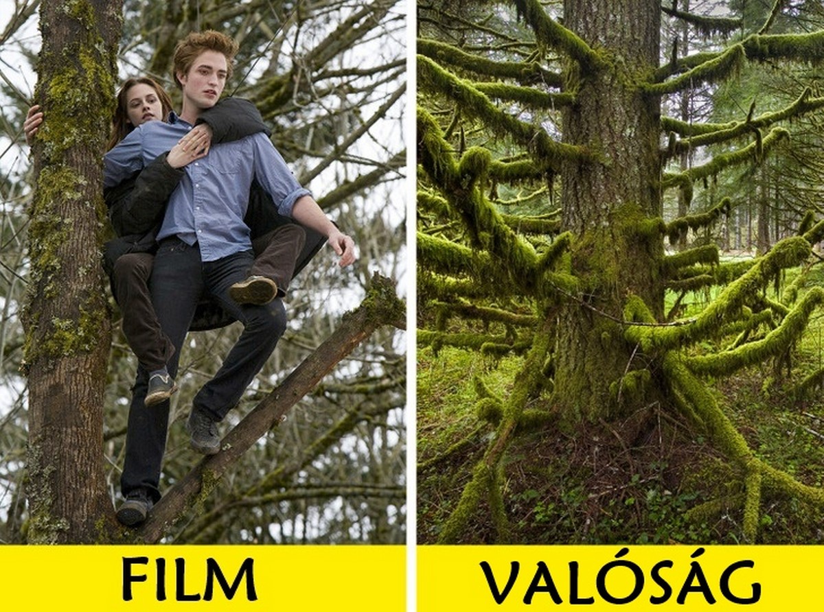 9 ikonikus hely kedvenc filmjeinkből és sorozatainkból, amelyek a való életben is léteznek