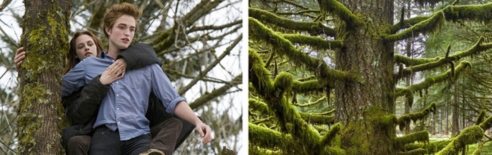 9 ikonikus hely kedvenc filmjeinkből és sorozatainkból, amelyek a való életben is léteznek