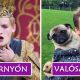 12 sztár, akik a filmekben rosszfiúkat játszanak, ám a való életben nagyon is elragadóak