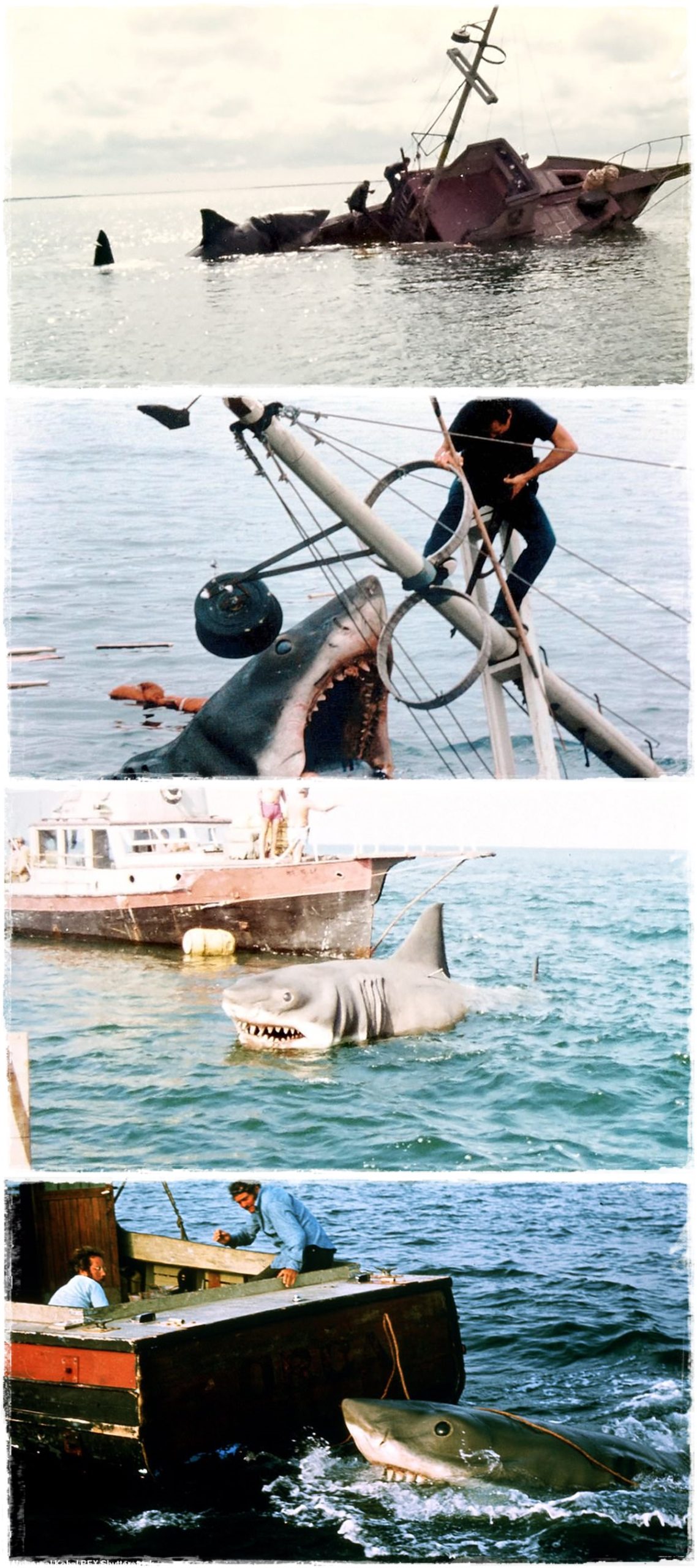 A horrorisztikus végkifejlet ellenére a Cápa forgatása igazából jó buli volt (Fotók!)