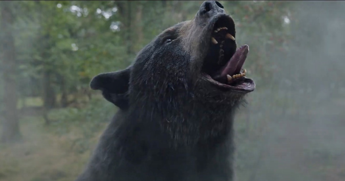 Előzetest kapott a Kokainmedve című film, amely egy beszívott medvéről szól, ráadásul megtörtént események alapján!