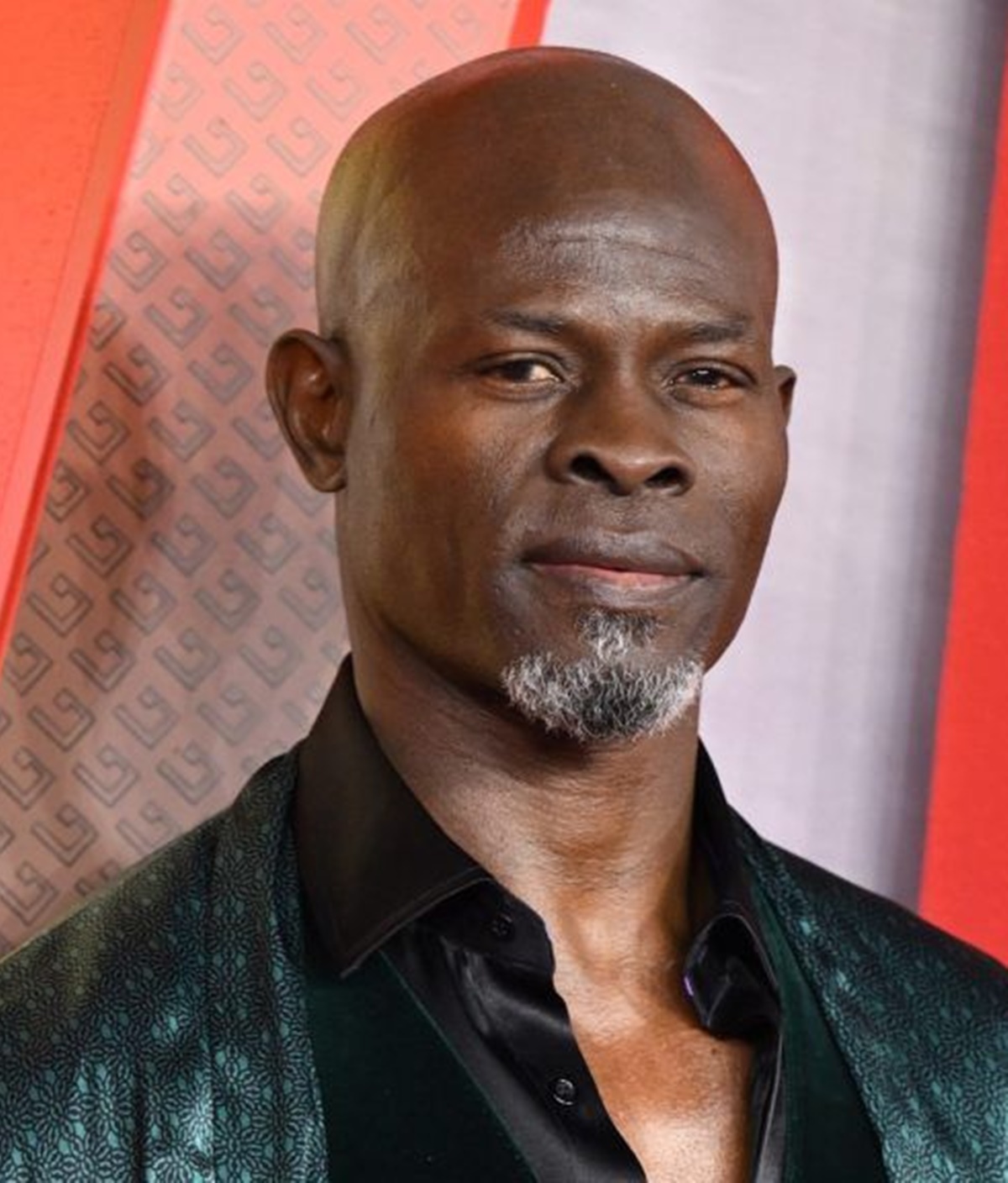 Djimon Hounsou érdekességek