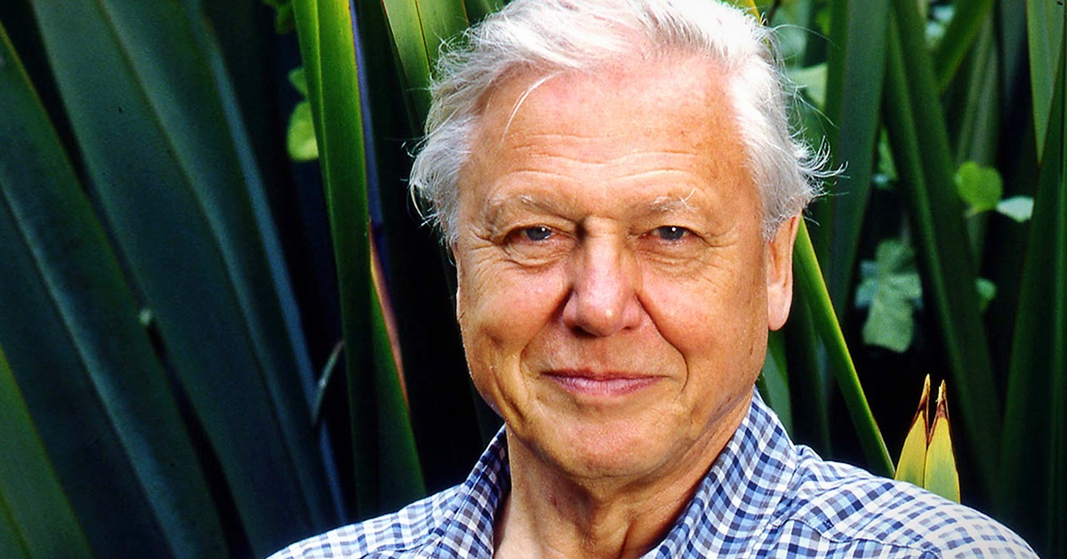 David Attenborough a világ leghíresebb természettudósa: így néz ki 97 évesen