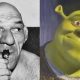 Shrek története: Egy élő ember inspirálta a mesefilmet
